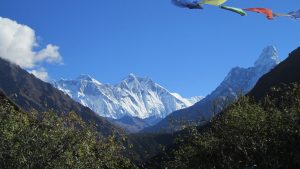 Everest base camp trek with group