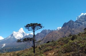 Explore Himalaya Everest base camp trek in November - Everest trip