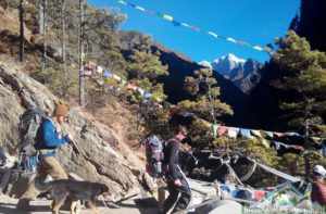 Nepal tour packages covers all major attractions of Everest base camp trek & things to do 
